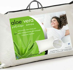 majirari-upnou-ftino